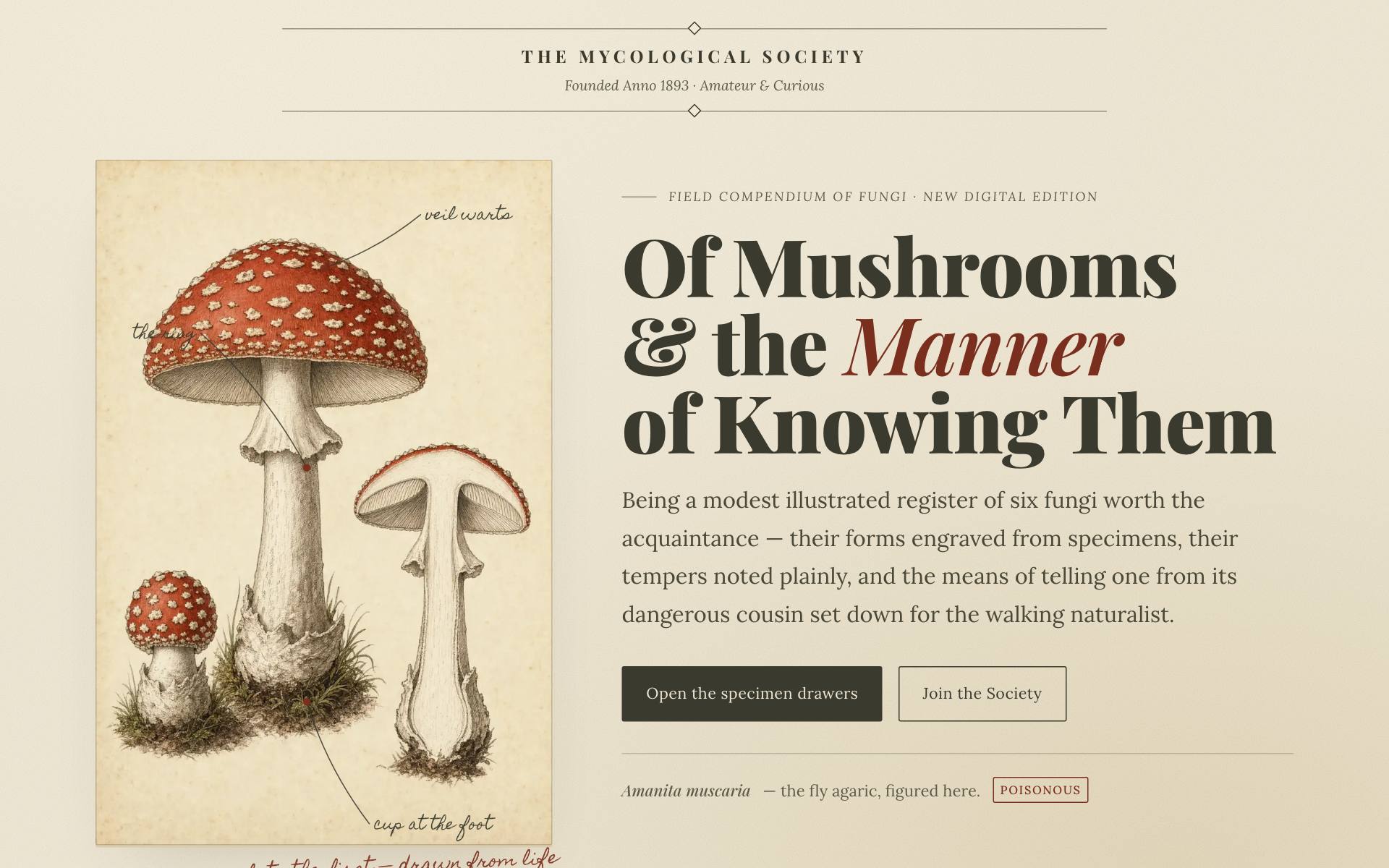The Mycological Society's Field Compendium — engraved fungi plates